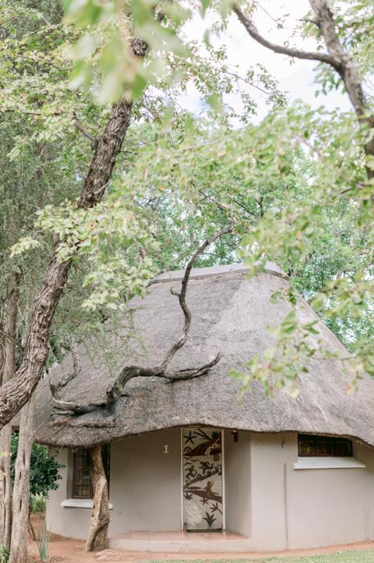 Limpokwena Nature Reserve Tokio Dış mekan fotoğraf