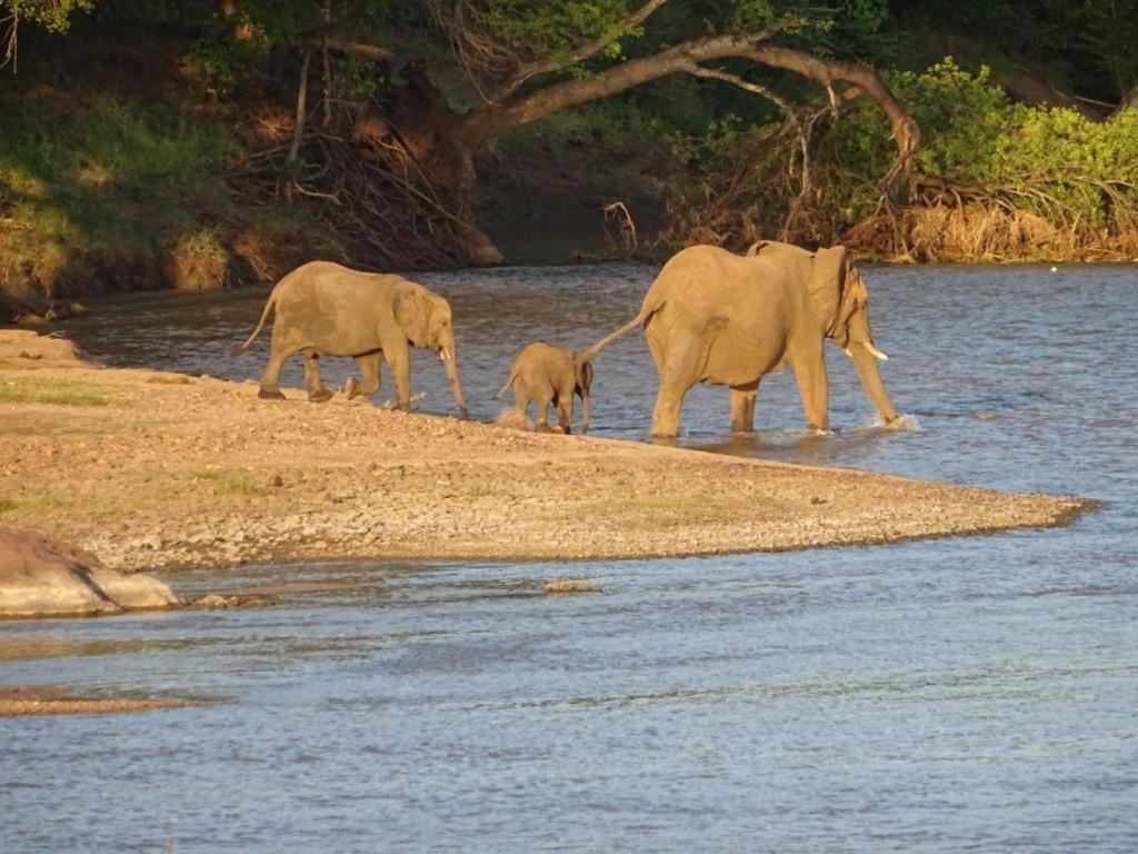 Limpokwena Nature Reserve Tokio Dış mekan fotoğraf