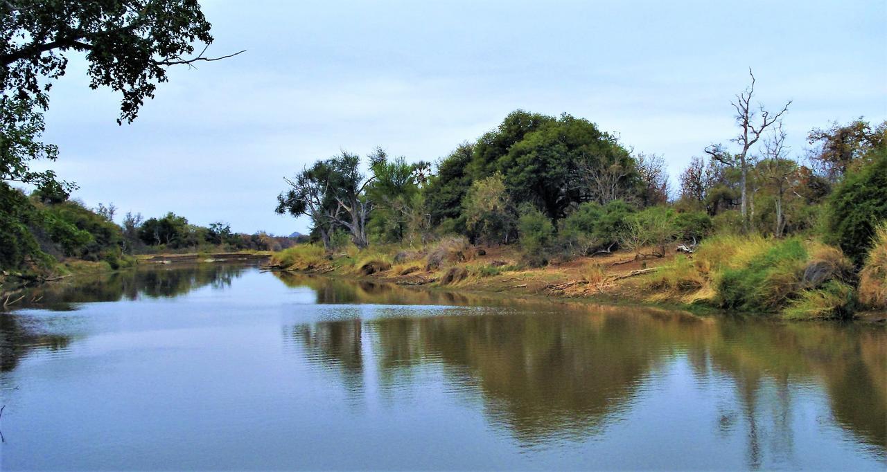 Limpokwena Nature Reserve Tokio Dış mekan fotoğraf