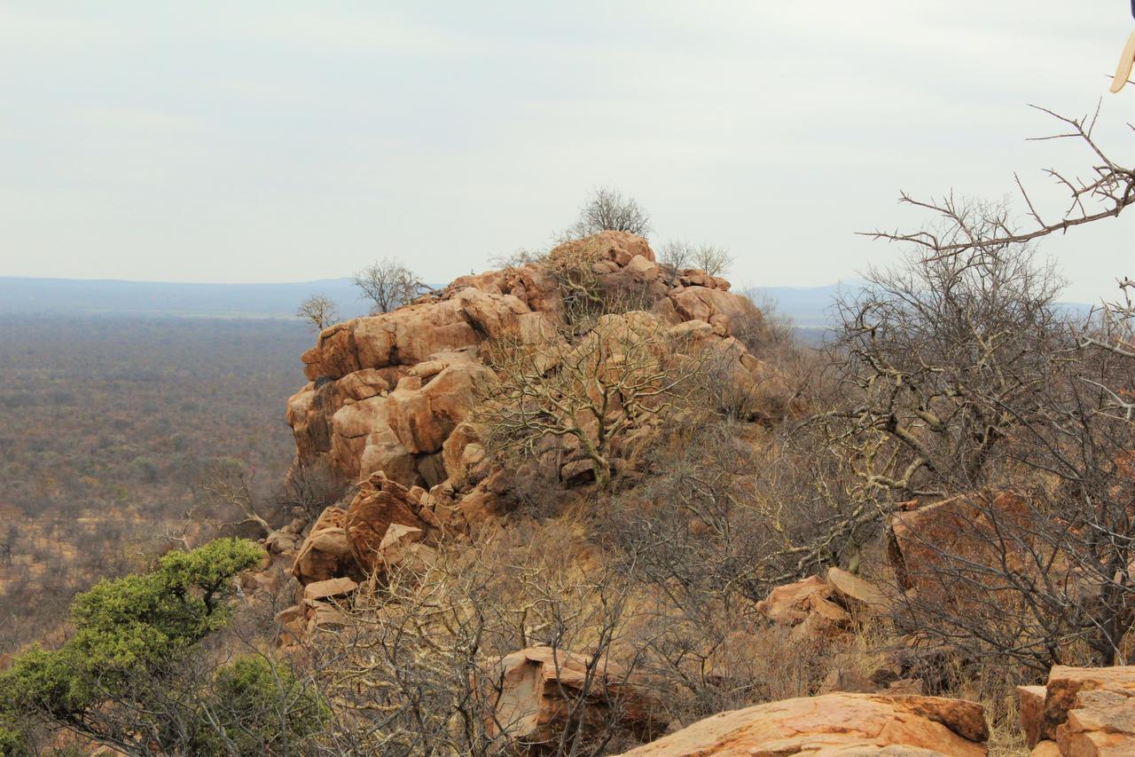 Limpokwena Nature Reserve Tokio Dış mekan fotoğraf